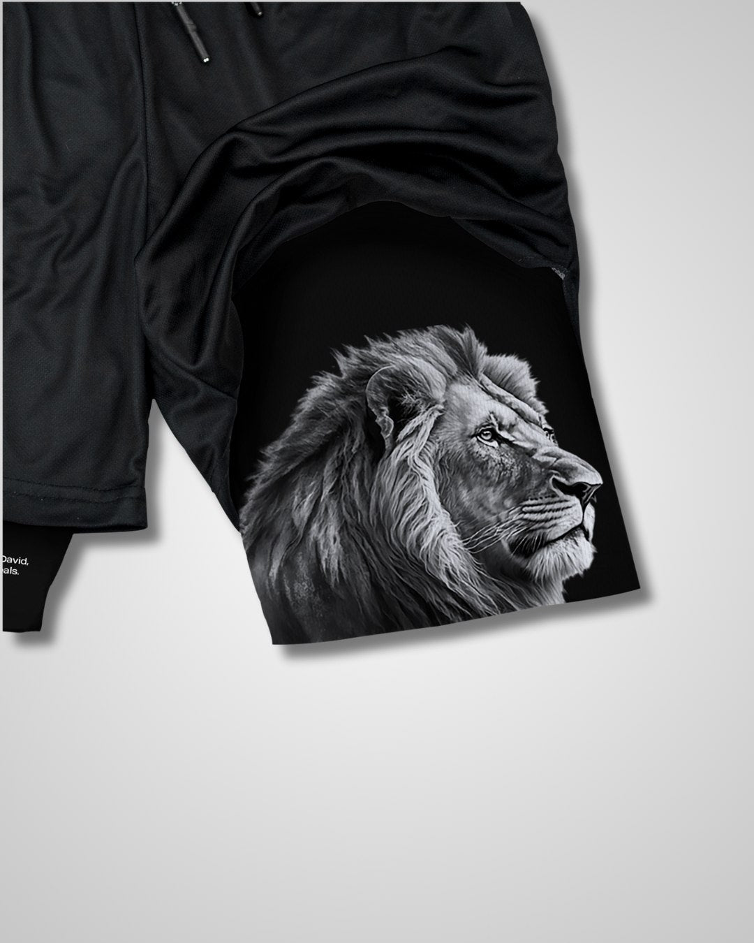Lion Performance Shorts | Revelation 5:5